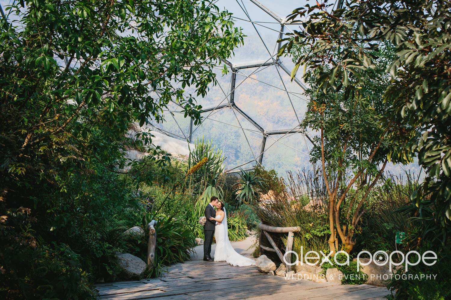 DC_wedding_edenproject-49.jpg