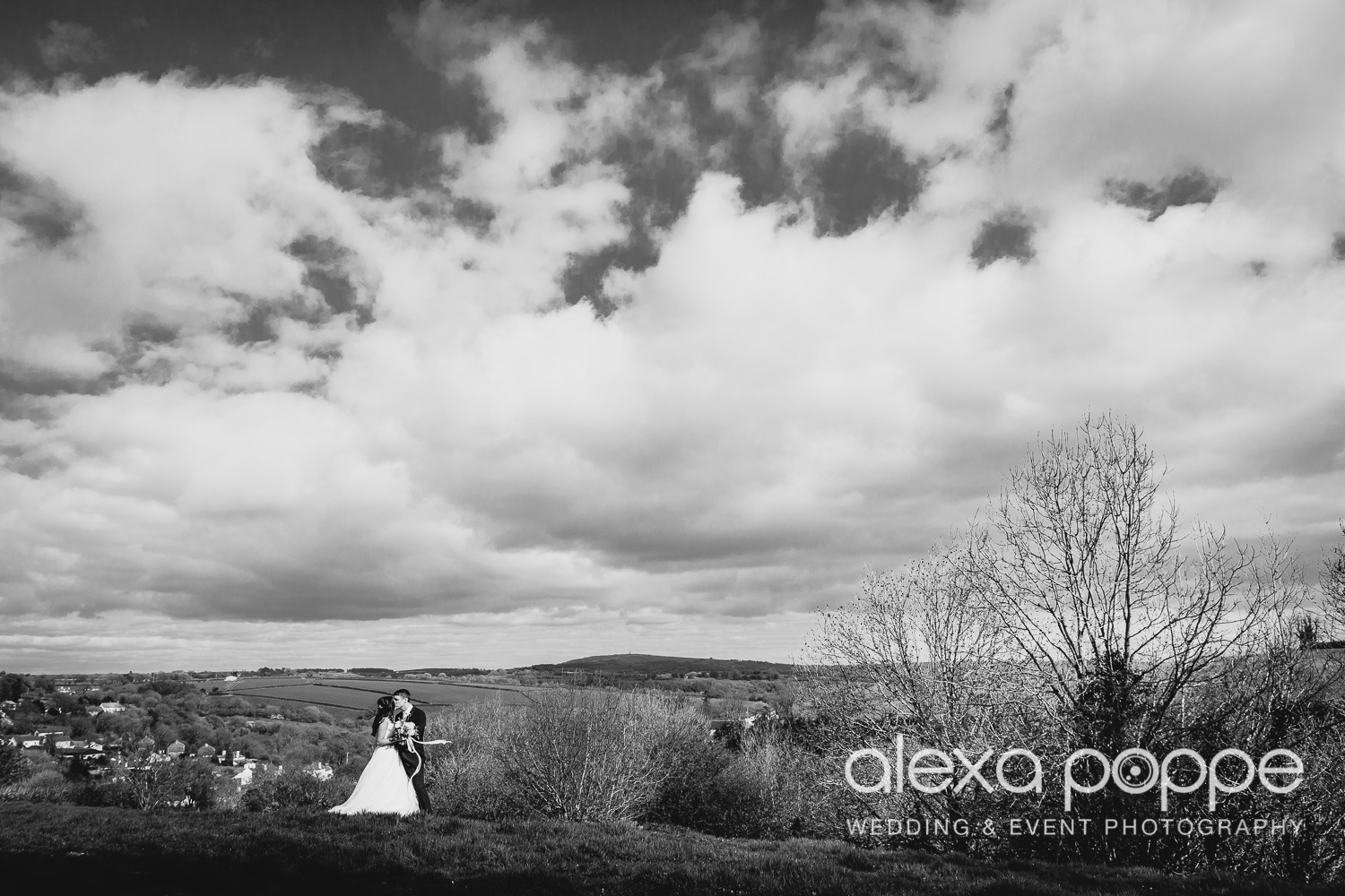 CA_wedding_thegreen_wm_1.jpg