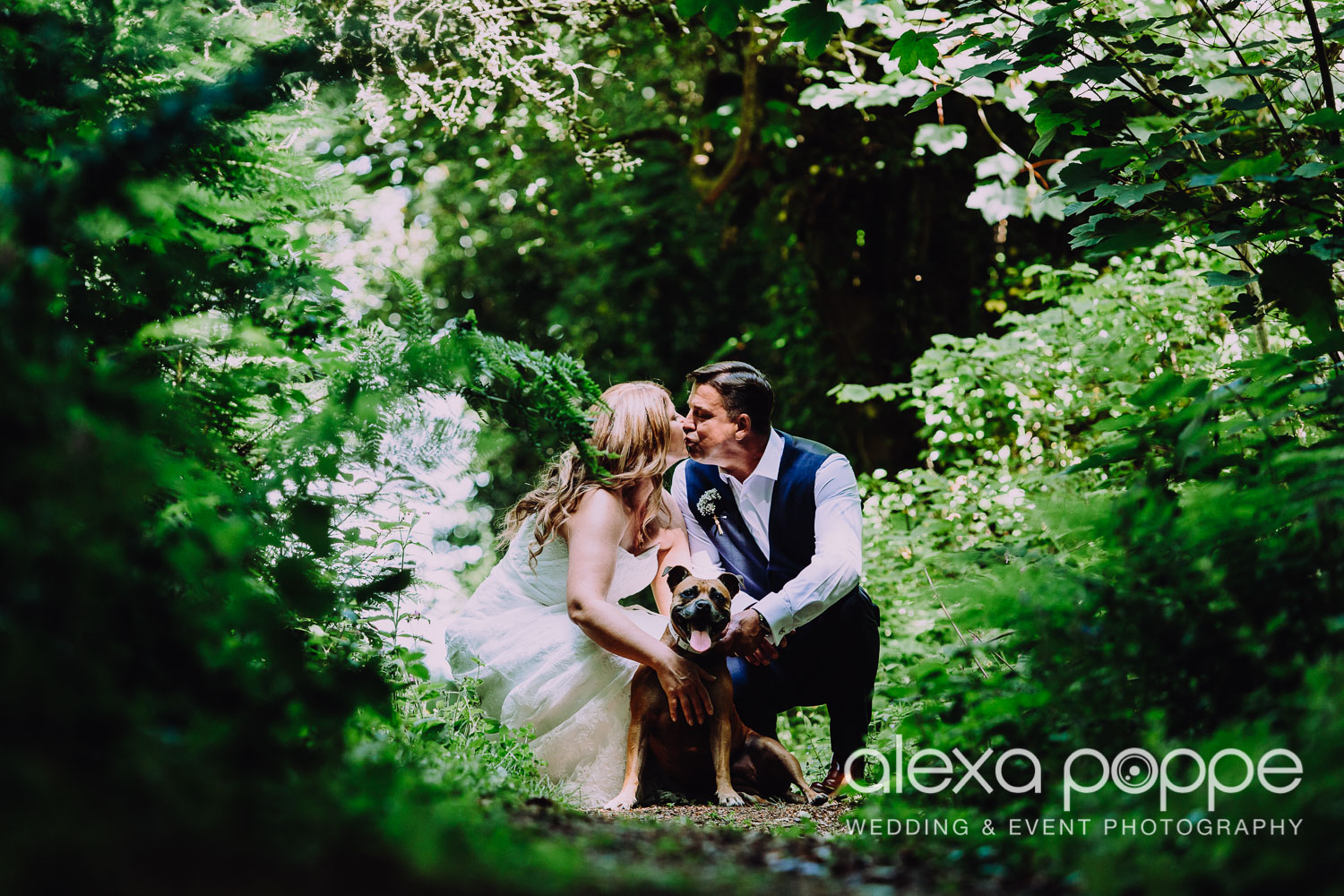 LJ_wedding_thegreencornwall_weddingdog_2.jpg