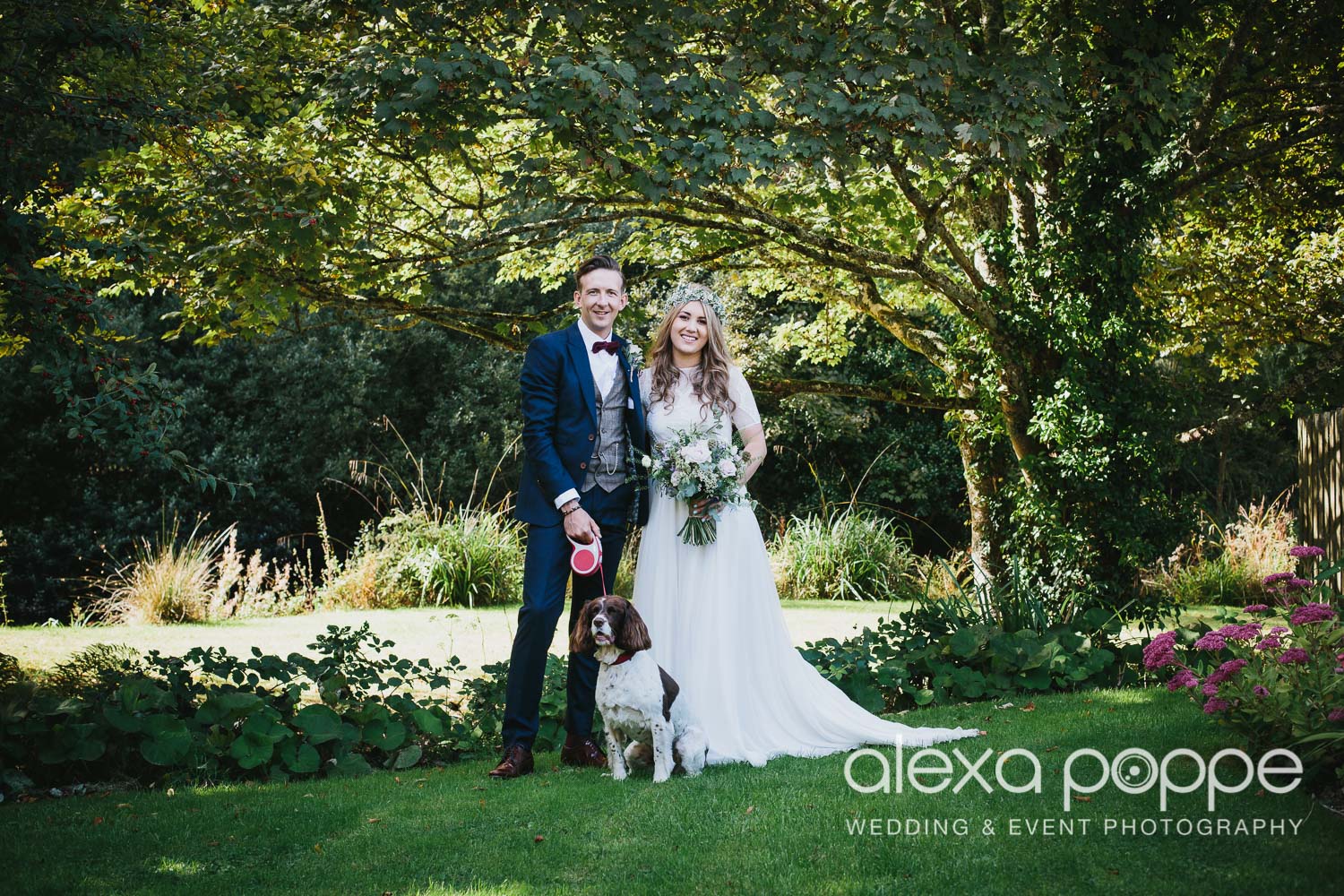 GP_wedding_roseinvale_weddingdog_1.jpg