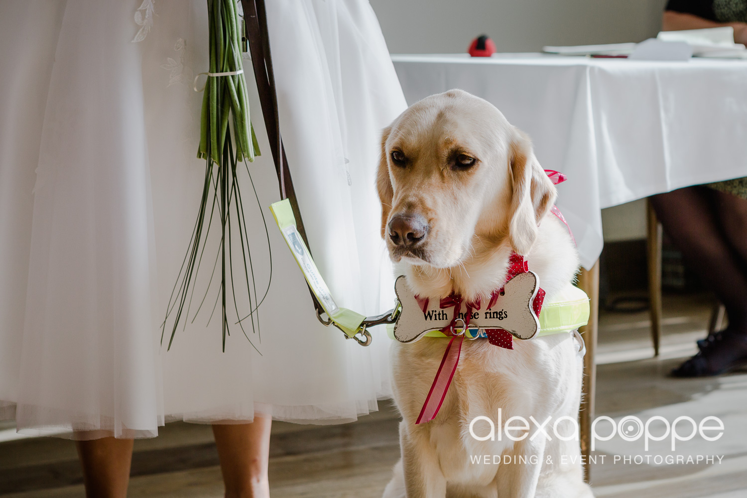 SK_elopement_thescarlet_cornwall_5.jpg
