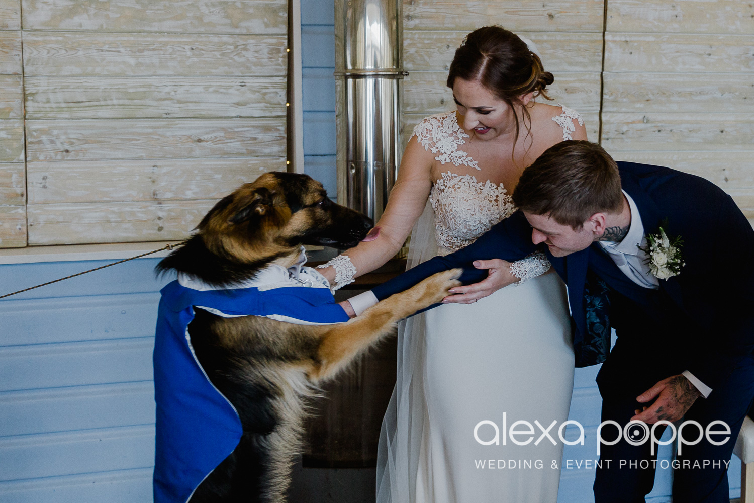 BA_wedding_lustyglaze_35.jpg
