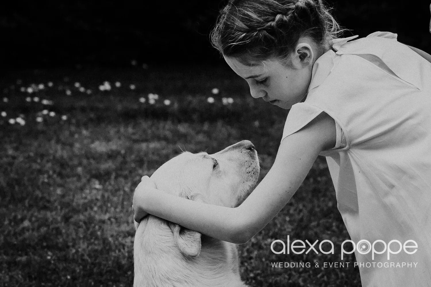 A tender moment flowergirl and wedding dog, just adorable…