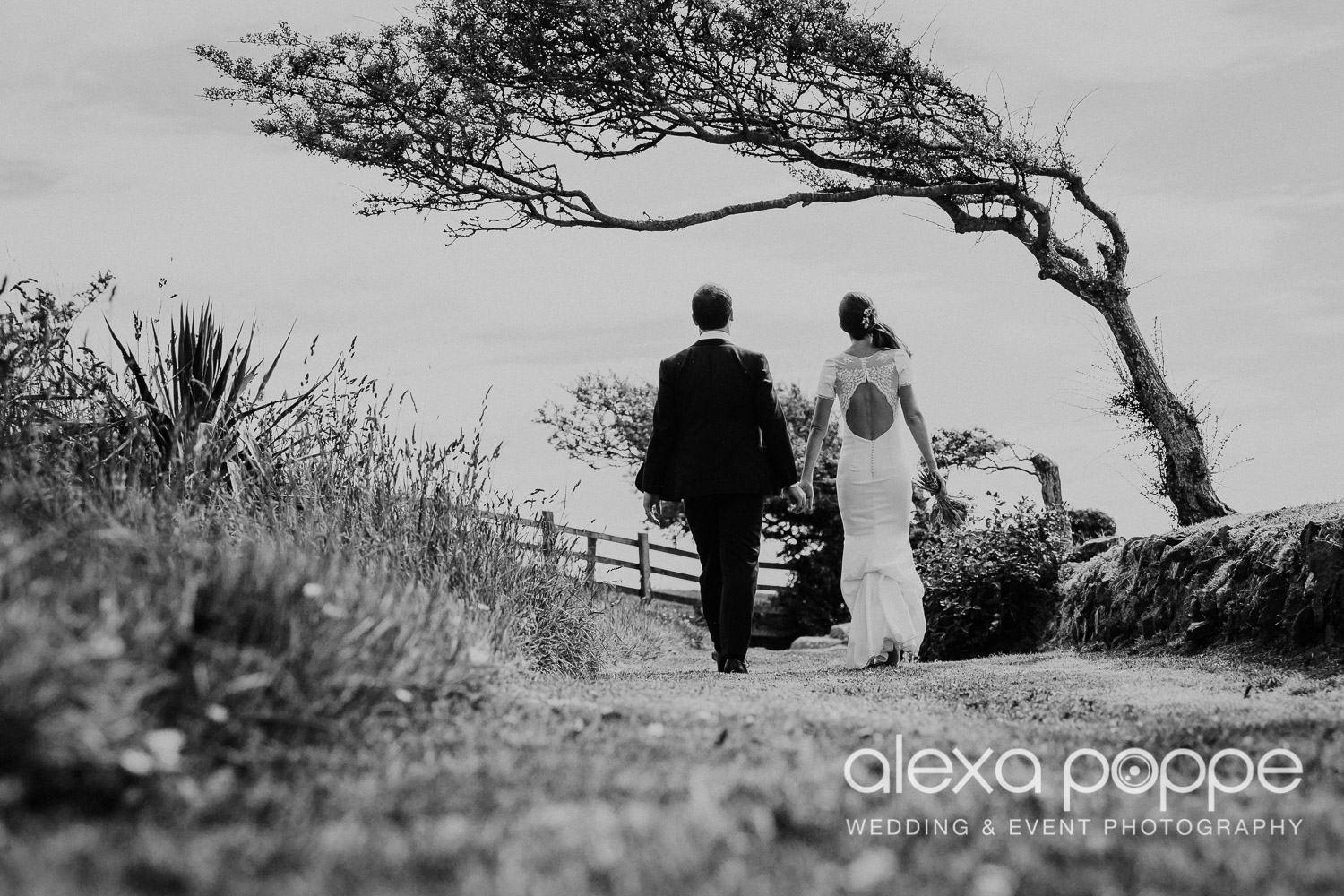 JN_wedding_roscarrock_cornwall_69.jpg