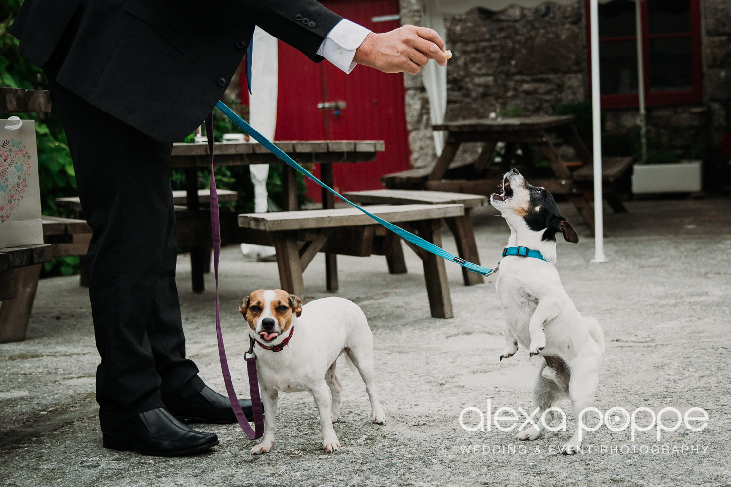 NN_wedding_knightorwinery_39.jpg