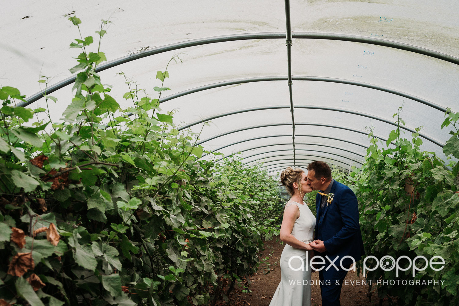 NN_wedding_knightorwinery_68.jpg