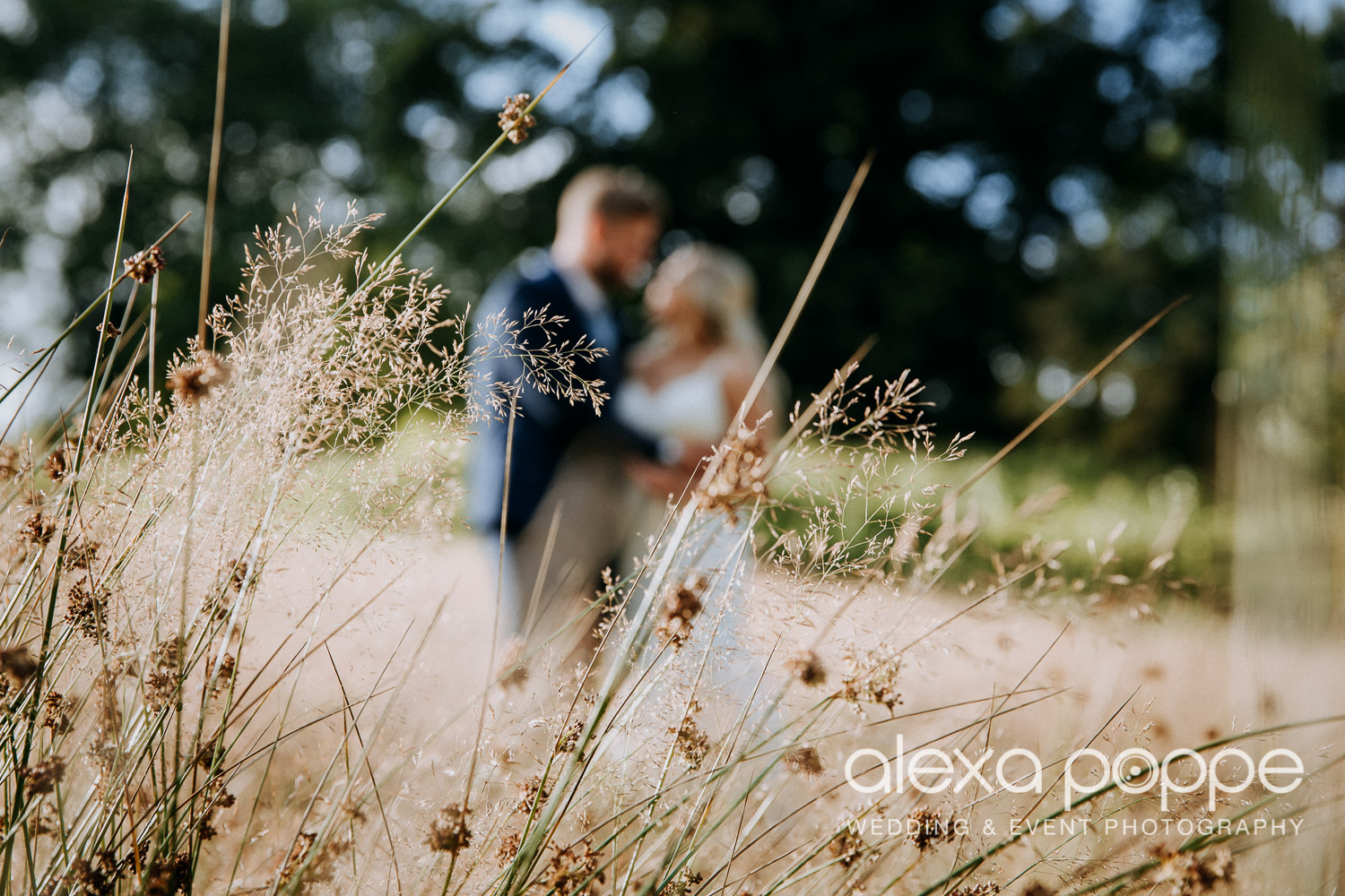 AA_wedding_thegreen_cornwall_58.jpg