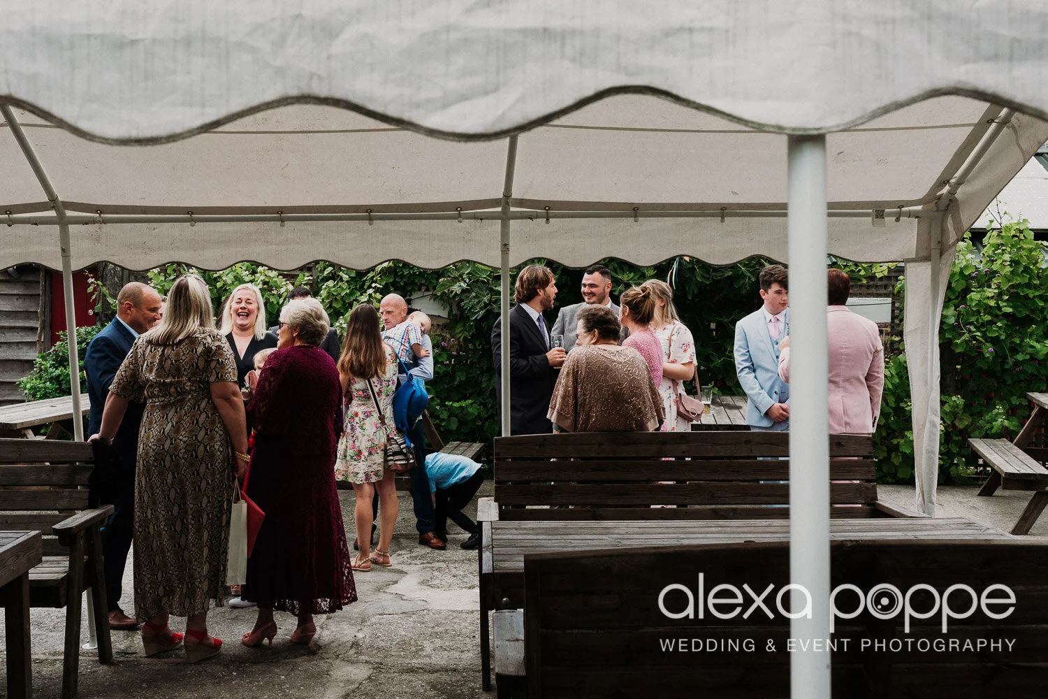 TW_wedding_knightorwinery_19.jpg