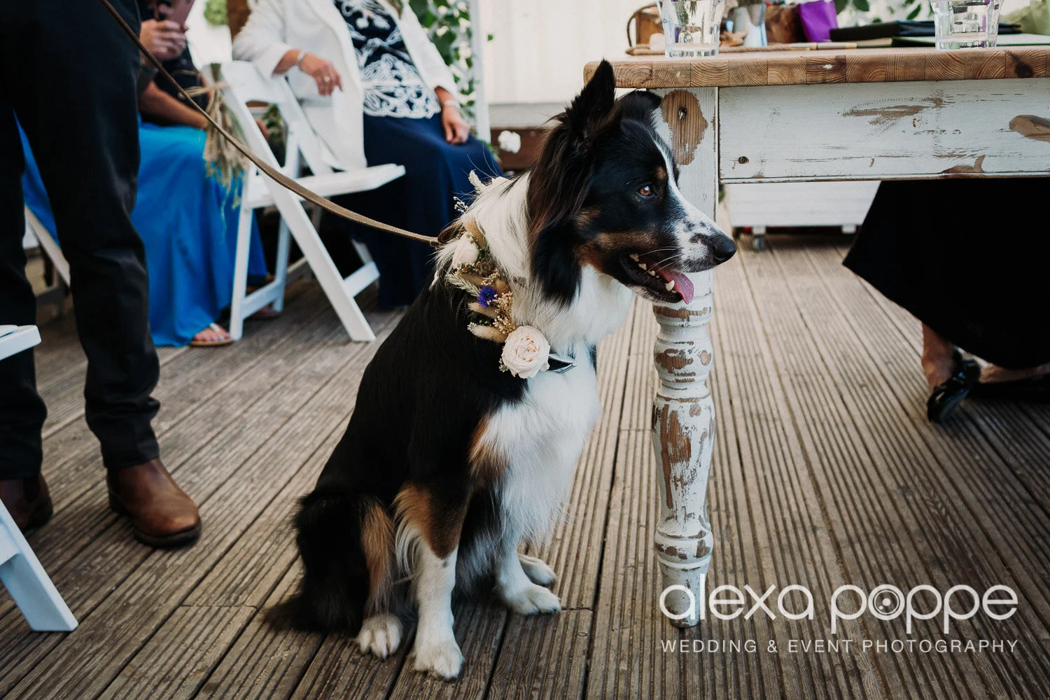 sl_wedding_lustyglaze_cornwall_11.jpg