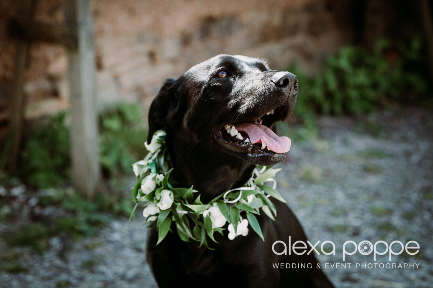 he_wedding_ecopark_porthtowan_4.jpg