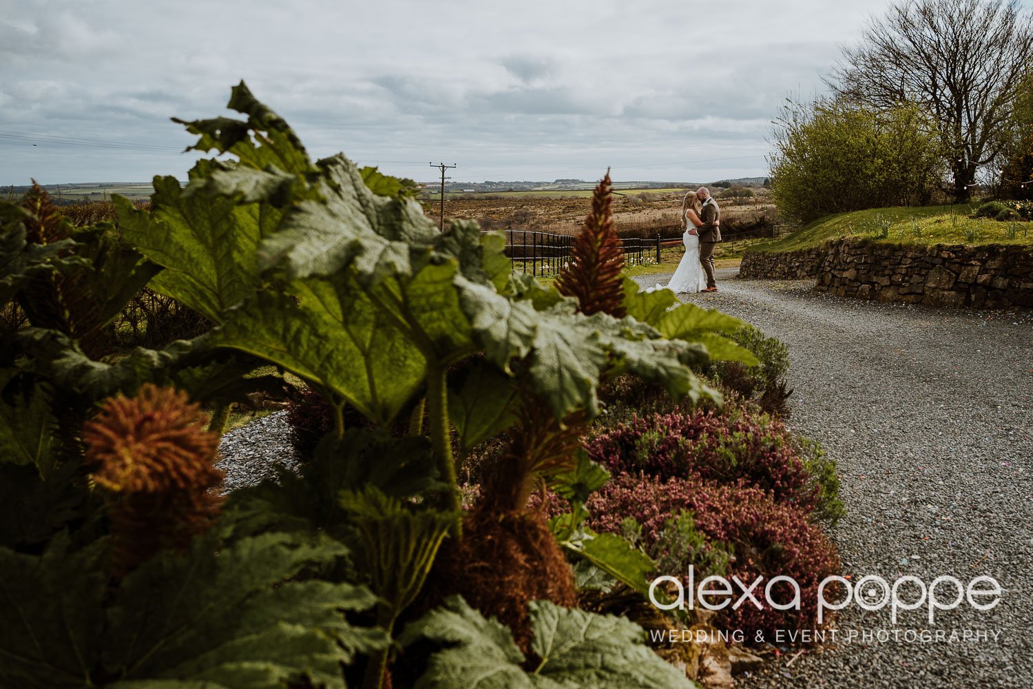 lj_weddingphotographer_trevenna_cornwall_167.jpg