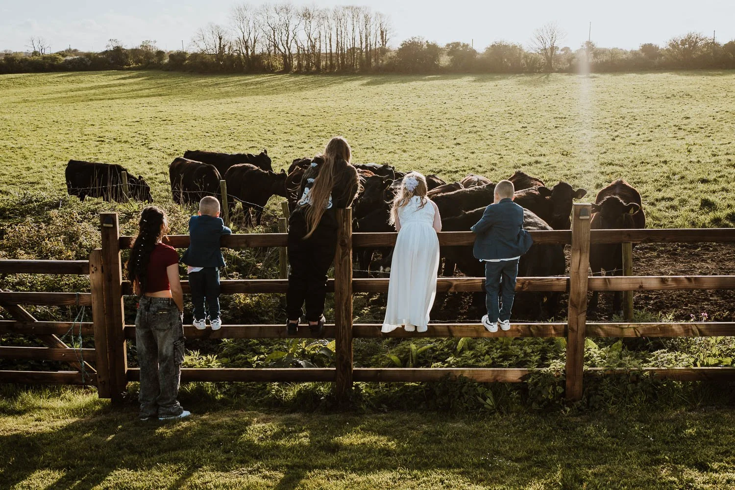 weddingphotographer_cornwall_stennackfarm_sa_51.jpg