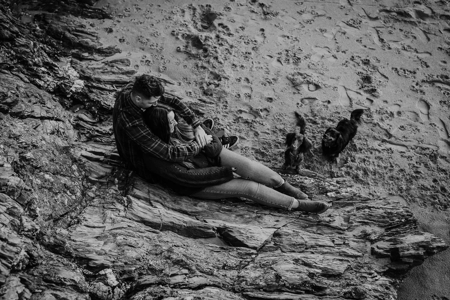 A couple portrait photo taken during an engagement session / pre wedding photoshoot. Engagement Photo of couple and their dogs on the beach in Cornwall