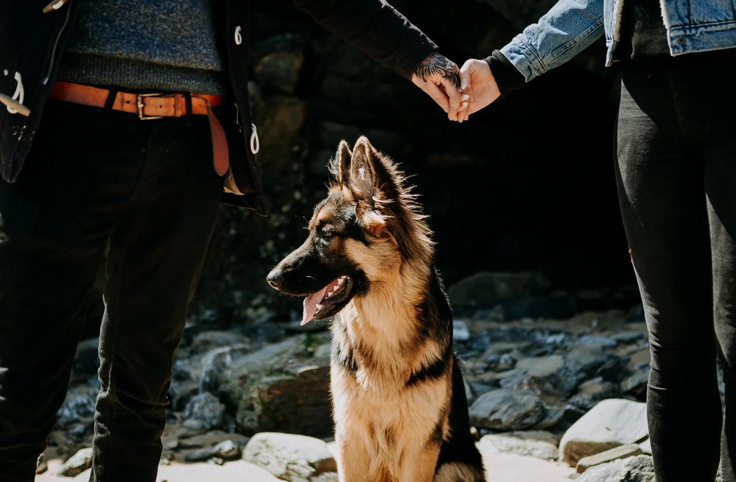Two people holding hands with a German Shepherd dog sitting between them outdoors on rocky terrain. Natural Engagement Photos including your dogs