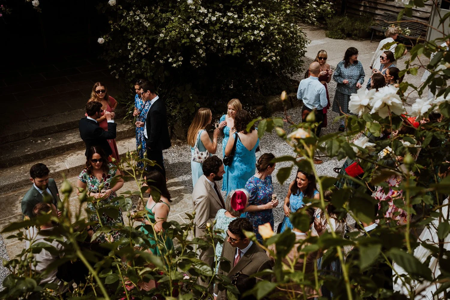 Wedding guests gathering in Nancarrow Farm's courtyard surrounded by flowering vines and greenery.