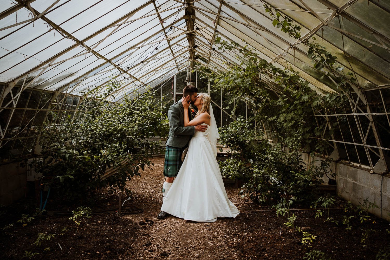 A bride and groom sharing a kiss inside a greenhouse with lush greenery surrounding them. Natural Wedding Couple Portrait
