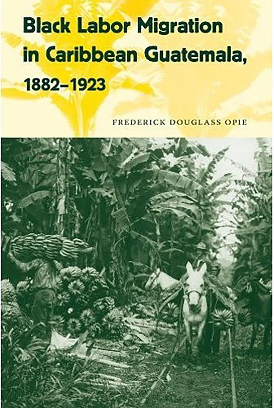 Black Labor Migration in Caribbean Guatemala, 1882–1923