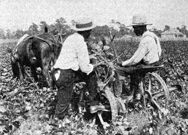 Farm agent advising a farmer regarding the value of cowpeas and other legumes for soil improvement, 1924, Courtesy of Schomburg Center for Research in Black Culture