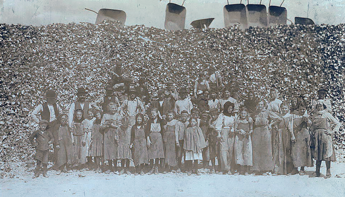 Oyster shuckers, Dunbar Louisiana, 1911, Courtesy of the Library of Congress