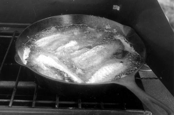 Fish fry, Courtesy of the State Archives of Florida, Florida Memory Project