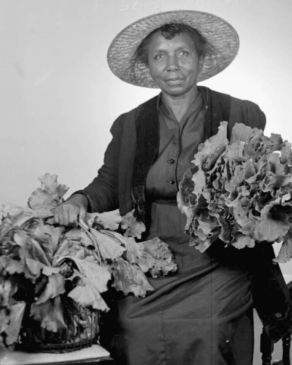 Woman with collard greens, Tallahassee, Florida, Courtesy of the Library of Congress