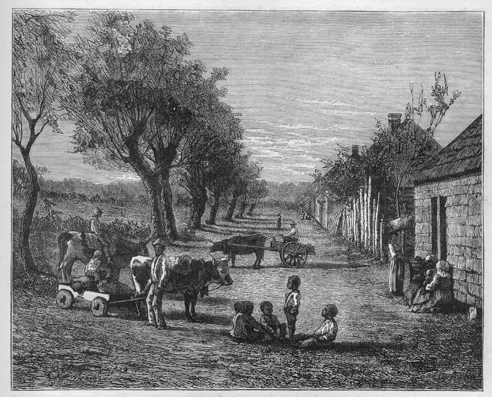 Colonial Williamsburg Garden Part 2