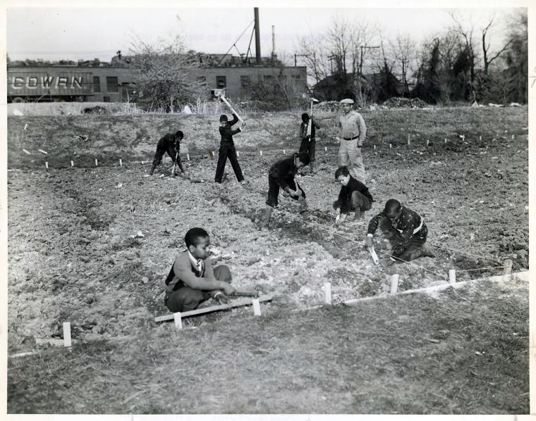 Washington, DC Public School children preparing the soil for their community Victory Garden under supervision of one of their teachers, 1943, Courtesy of Library of Congress