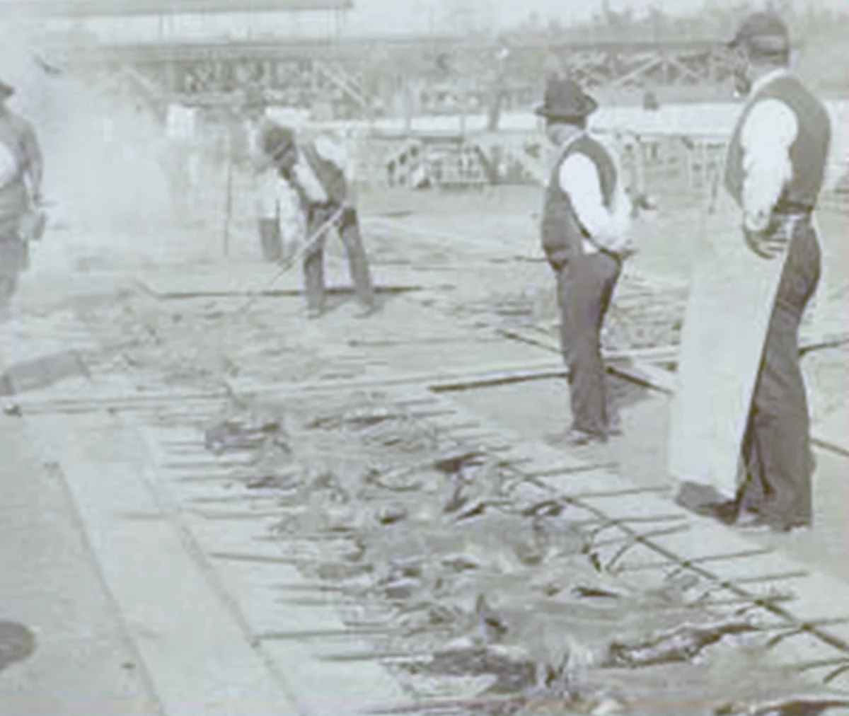 Barbecue, Atlanta Exposition 1895, Courtesy of the New York Public Library