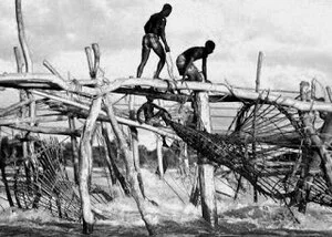 Food Markets, Fishermen, and Taxes