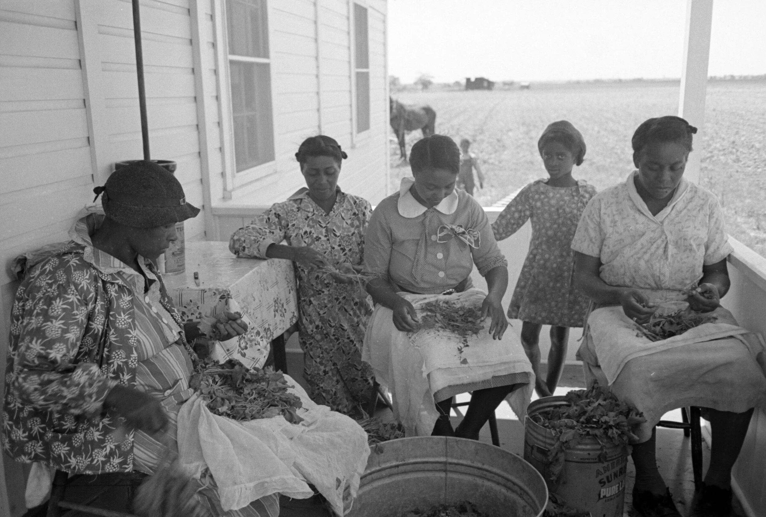 Food History And Historic Recipes mustard-greens-corner-chicago-inside-englewood-alyssa-schukar-komoiyo