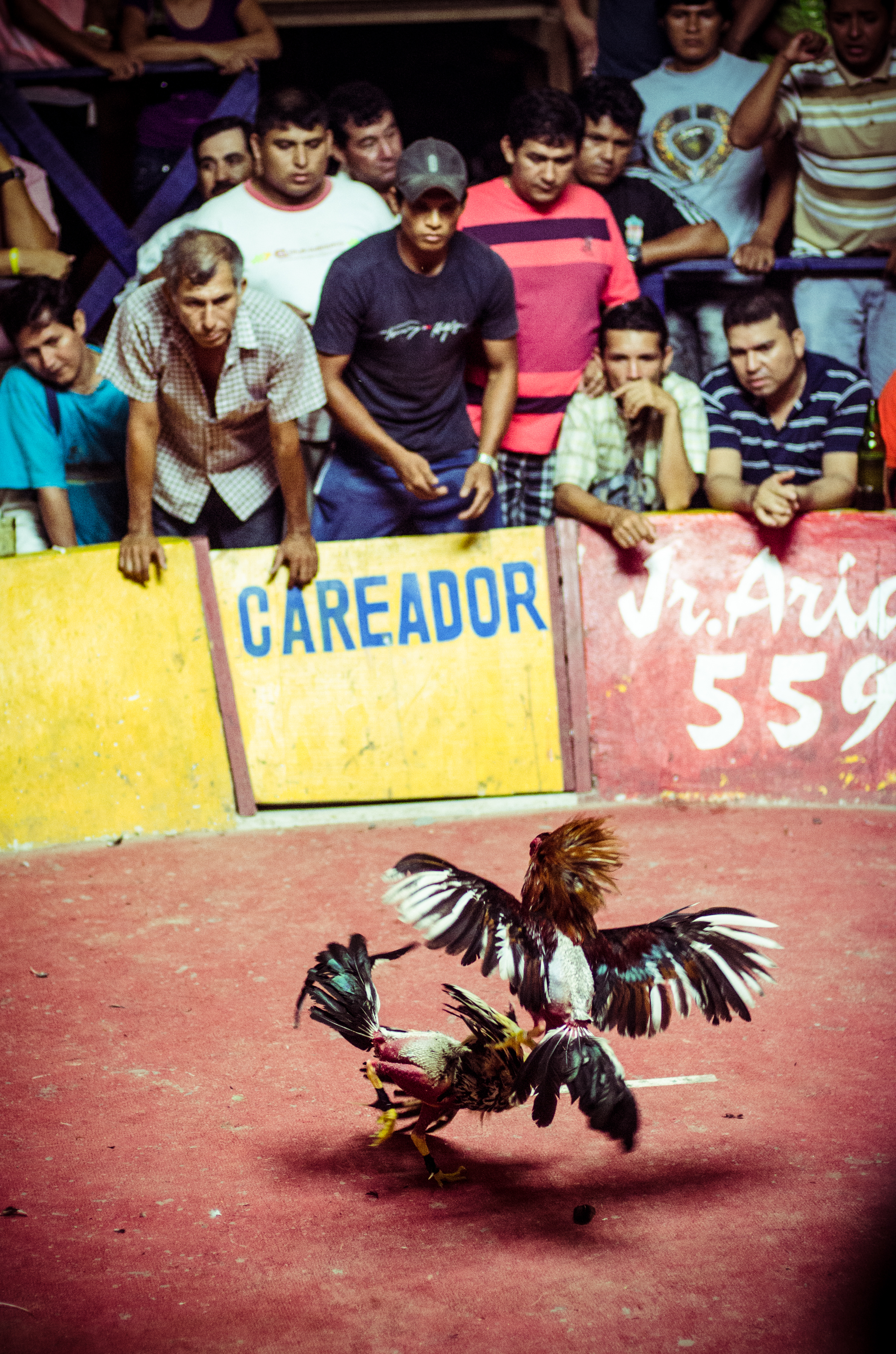 The_Colosseum_portfolio2013_18.jpg