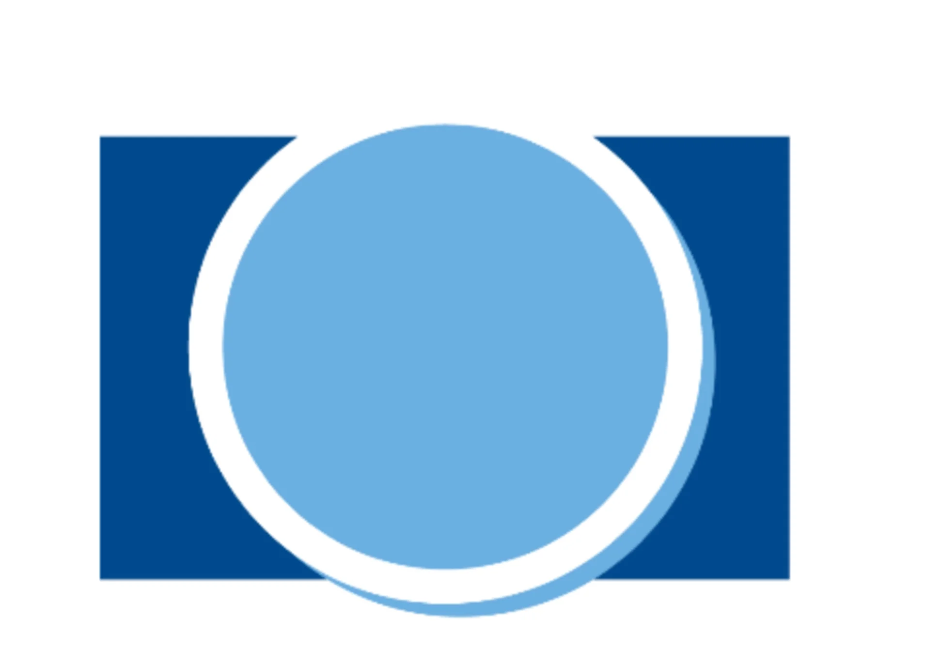 Flywire Cameras logo.jpg