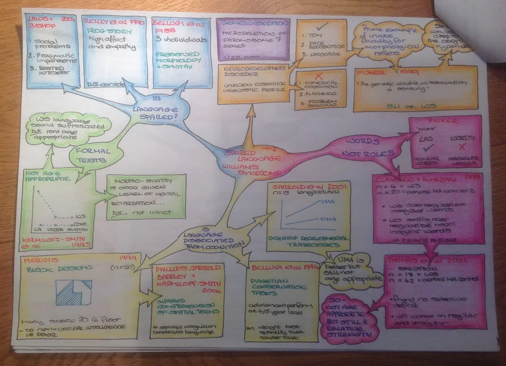 Mind Mapping for Children with Dyslexia — Dyslexic Logic