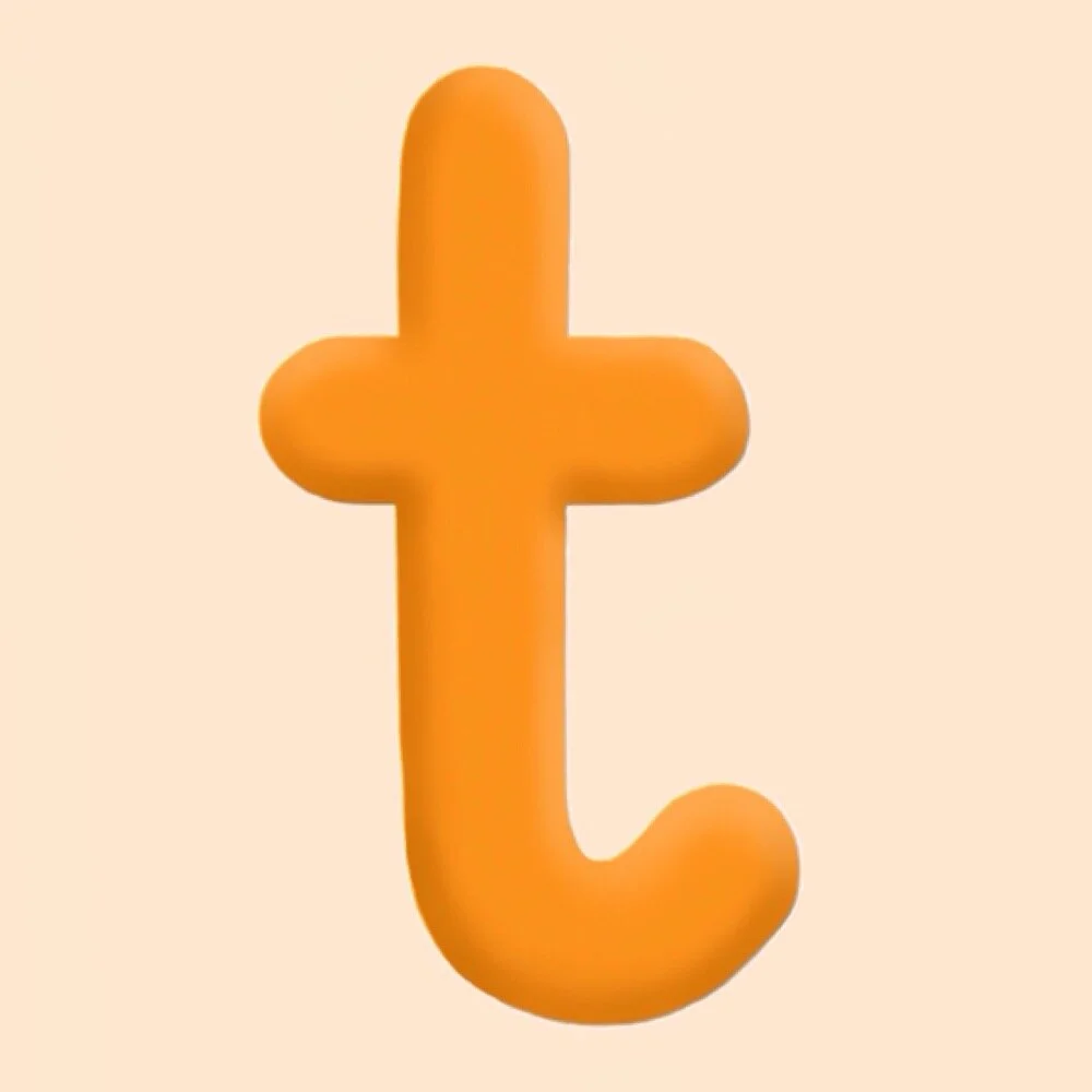 t.JPG