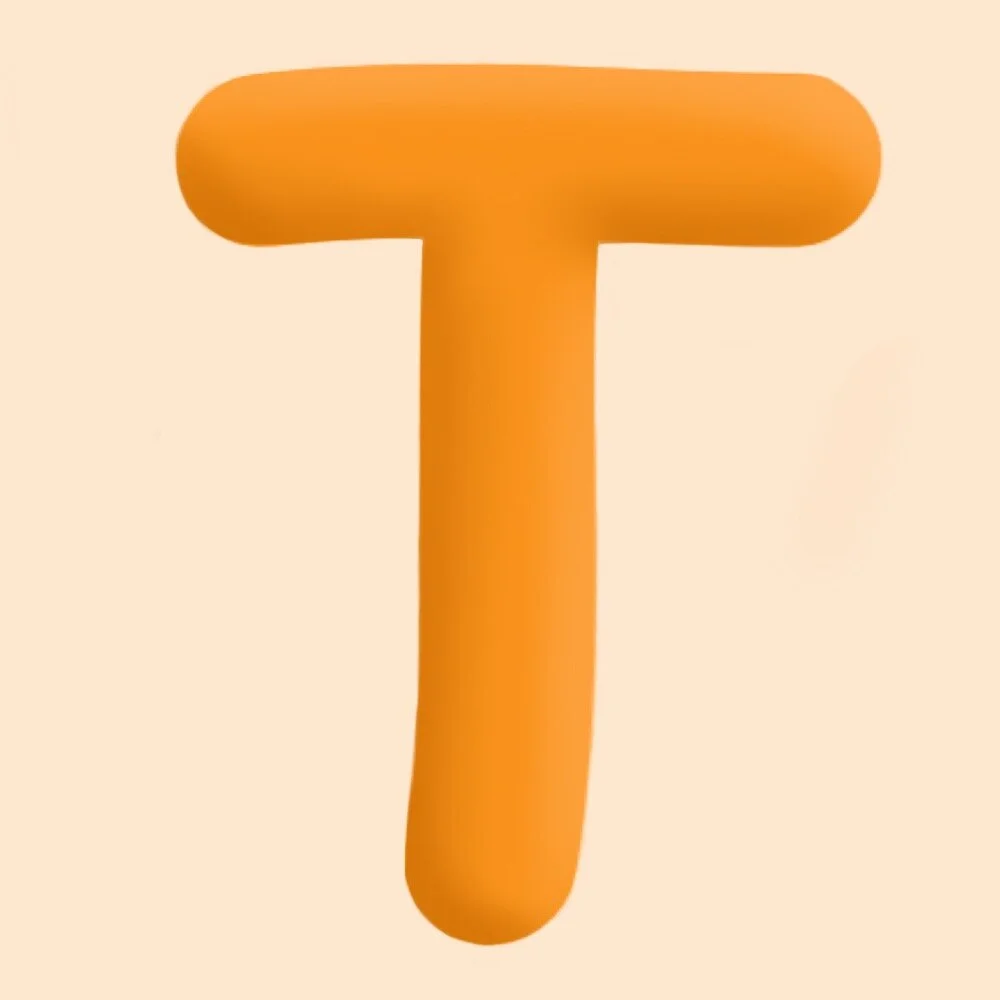 T.JPG