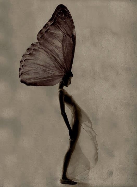 "It's the end of the world," said the caterpillar..."It's just the beginning," said the butterfly. ~(author unknown) ..*