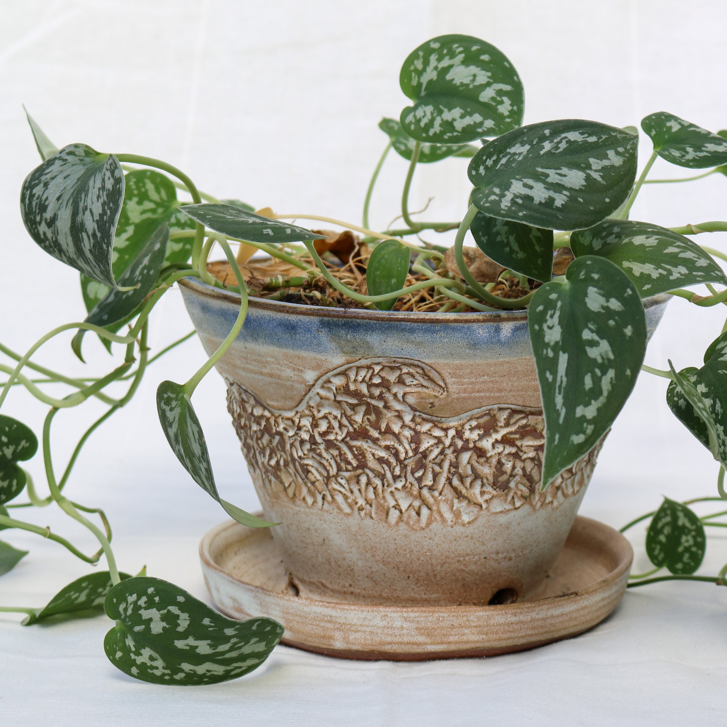 JGarruto-Ceramics_-02.jpg