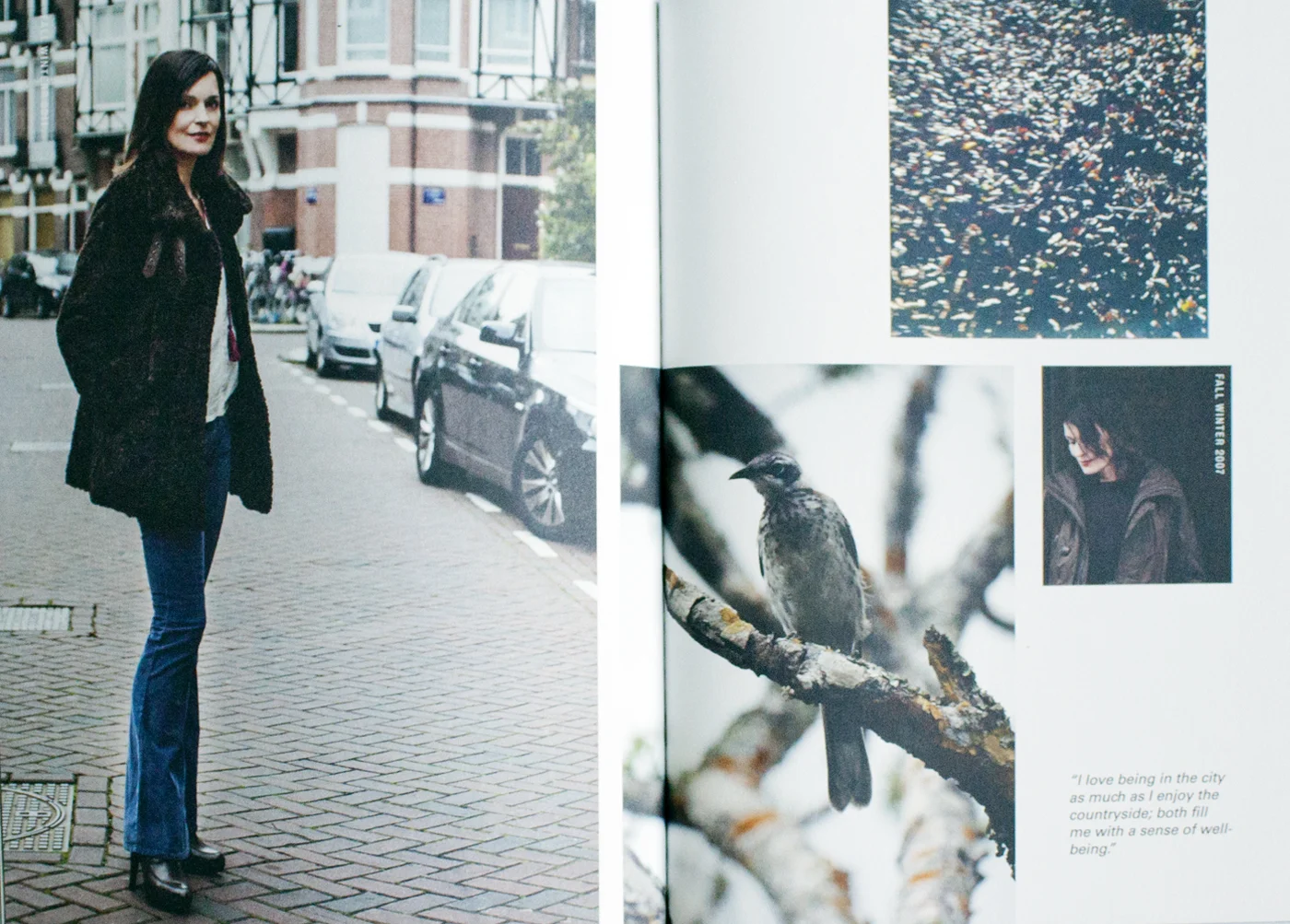 fig. 3. Nature photography: bird
