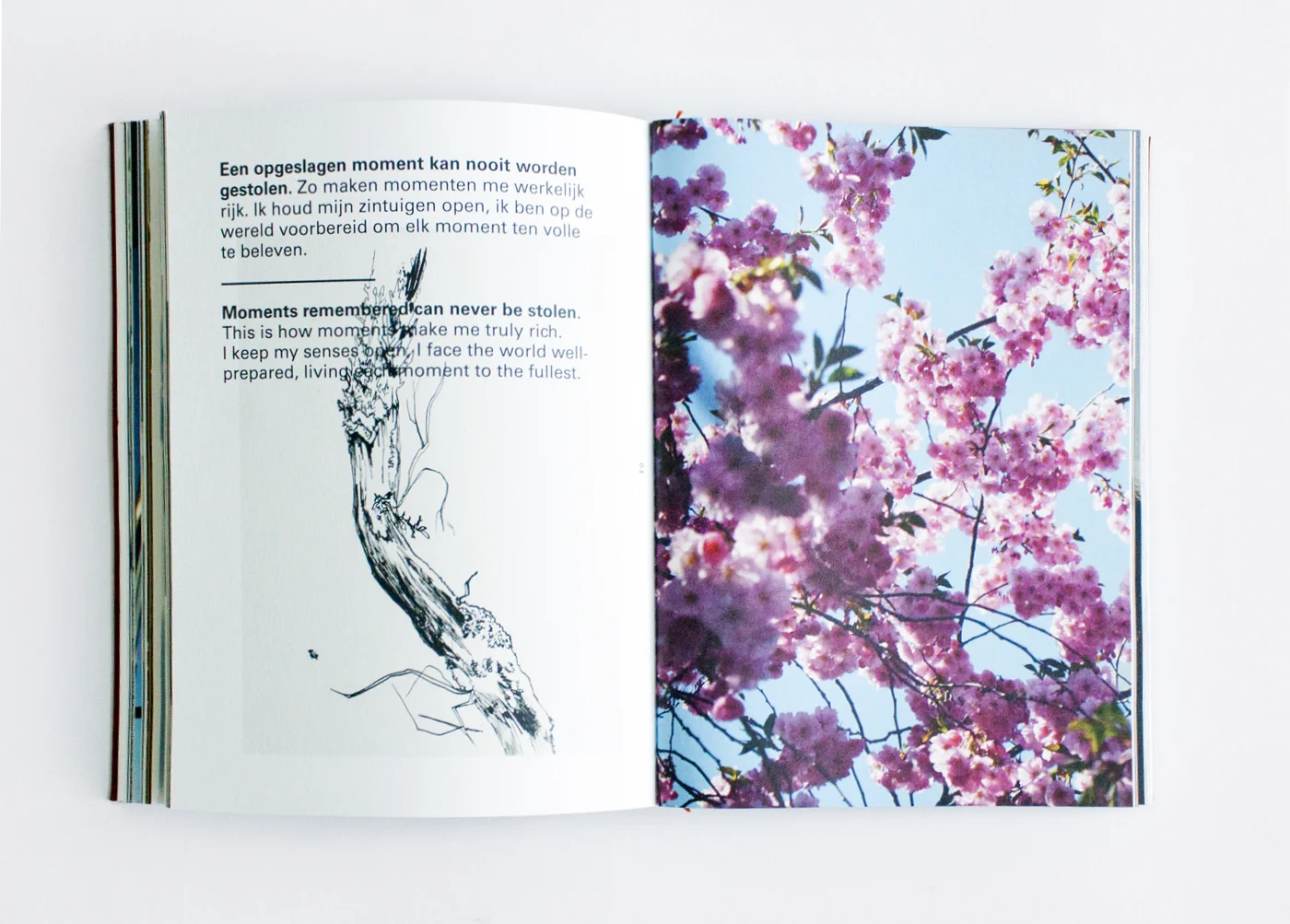 fig. 7. Tree drawing & nature photography