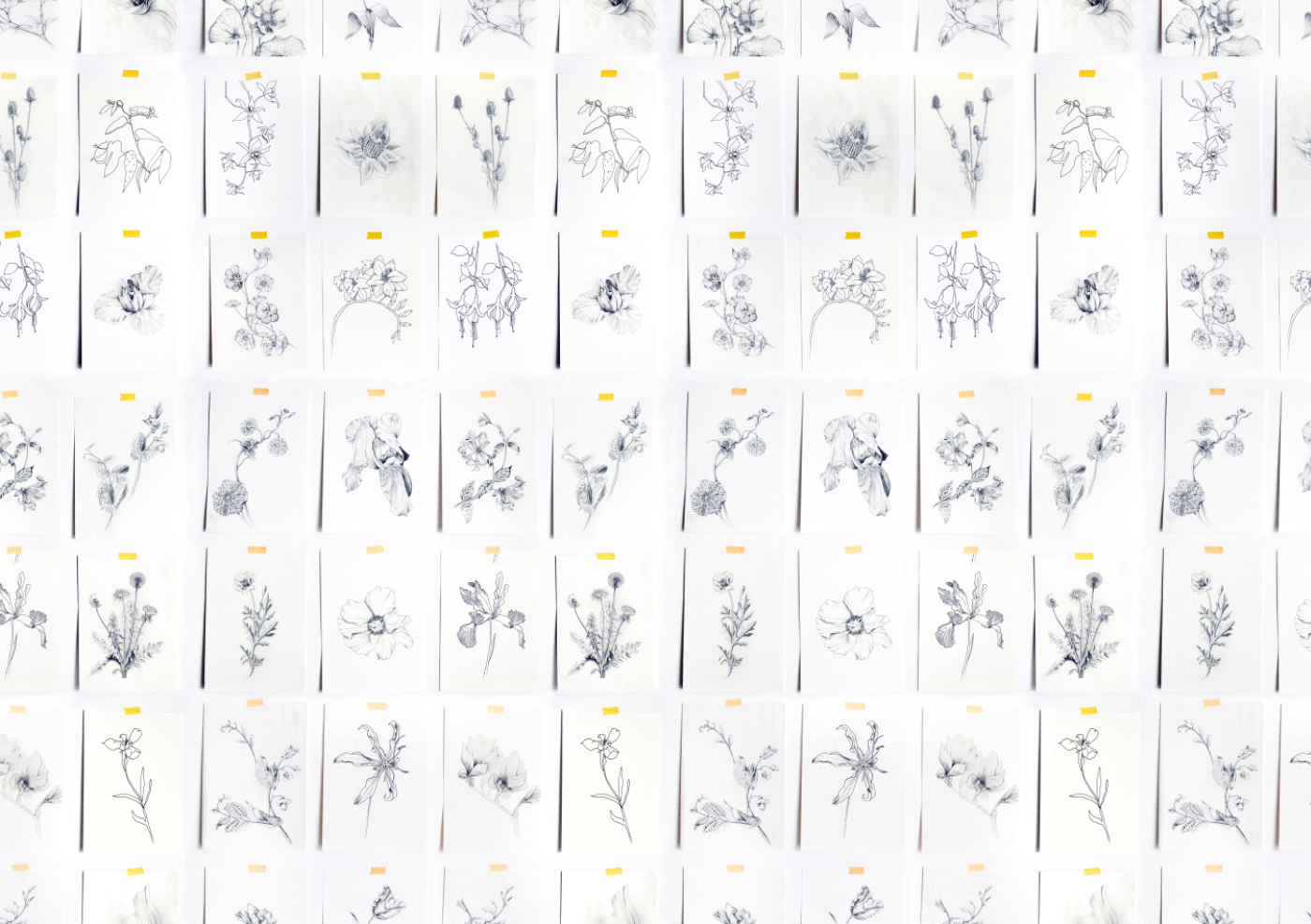 fig 1. Repeat Botanical Pattern