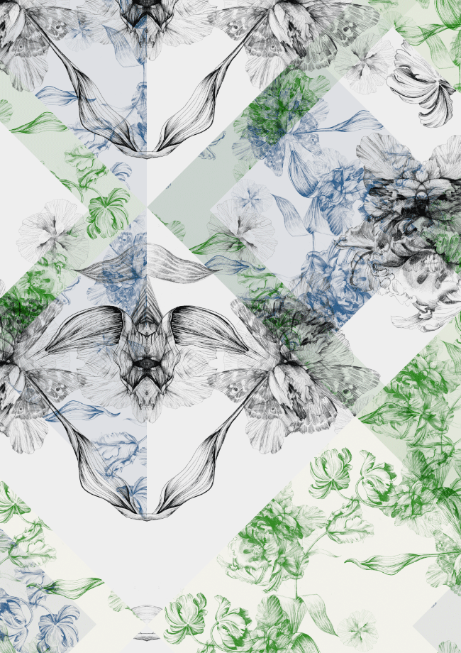 Serenity_Pattern_La_Scarlatte.gif