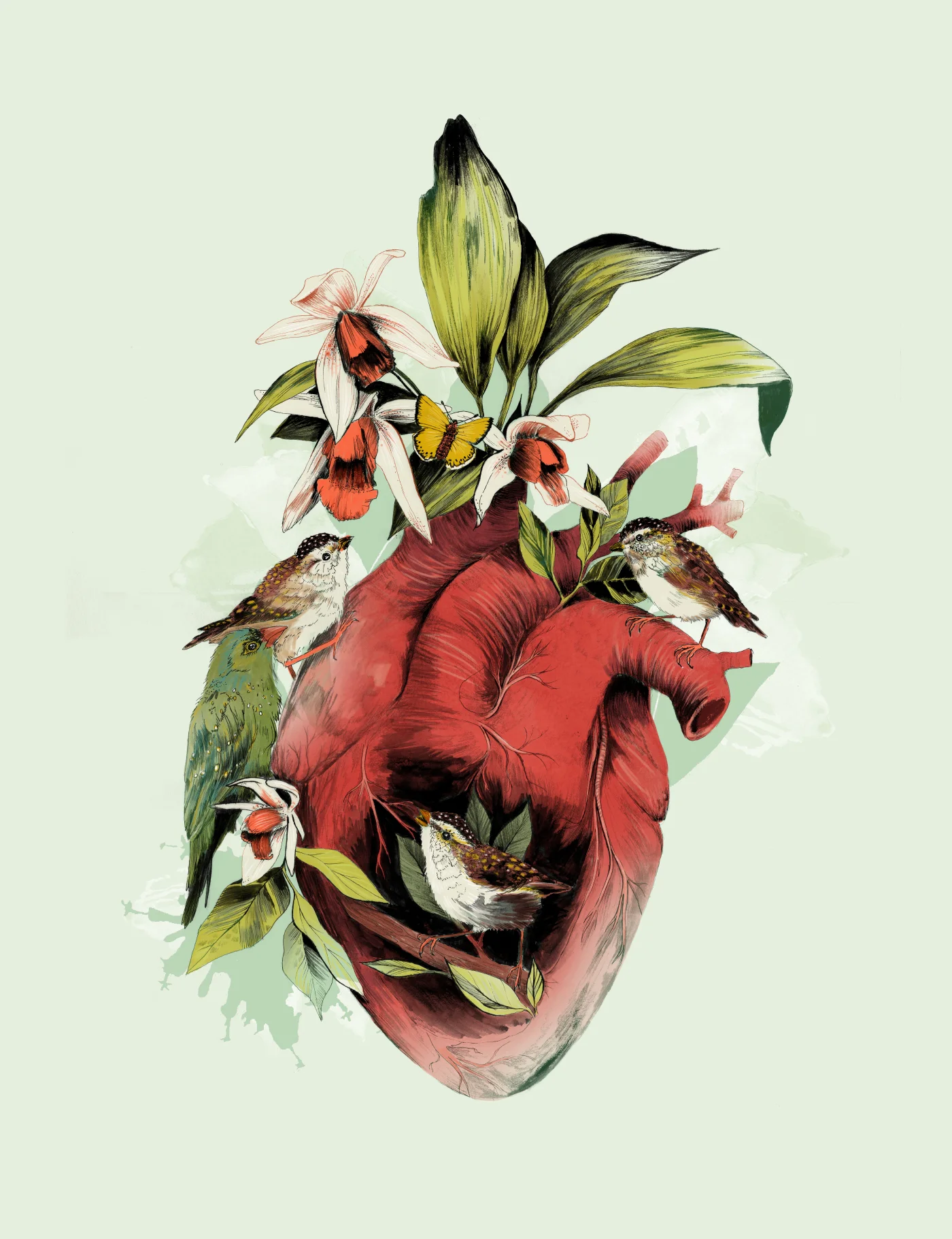 fig. 1. Heart Of Birds, anatomical heart with orchids and birds