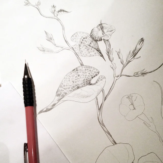 fig. 3. Process sketching