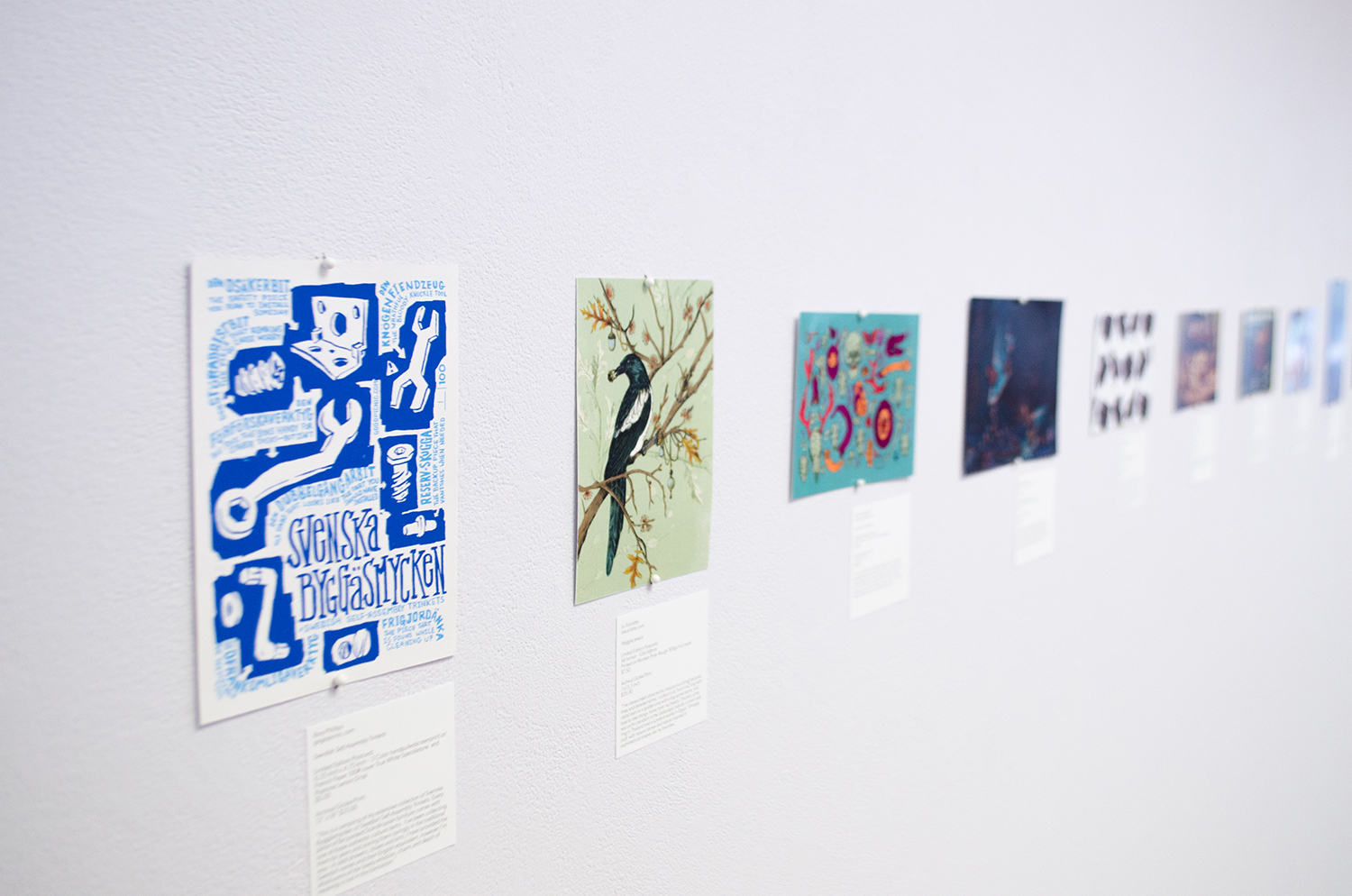 fig. 4. The Bower Bird exhibition