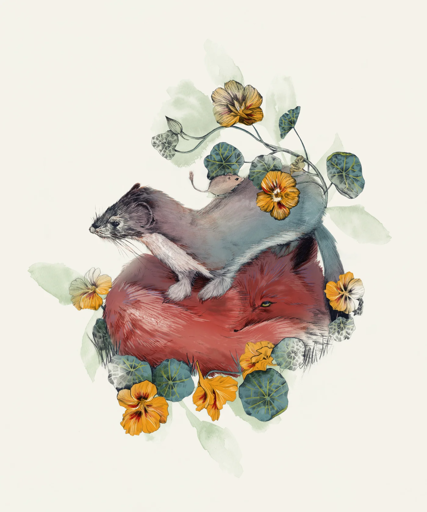 fig. 1. Stoat & Fox and a tiny mouse