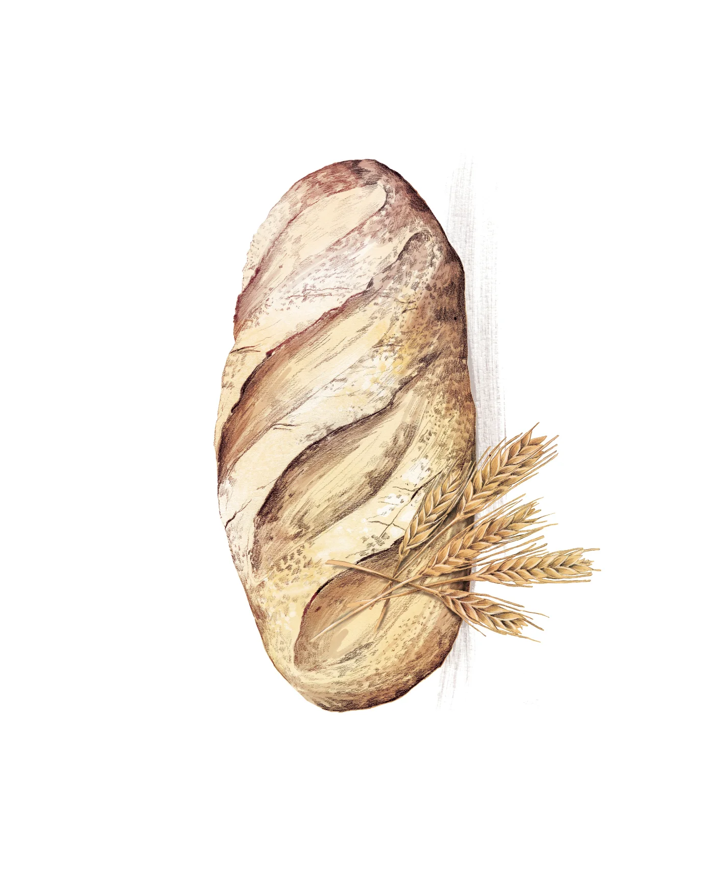 fig. 2. Bread and wheat illustration