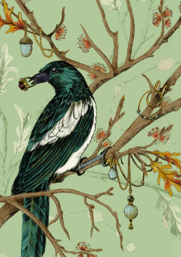 Bowerbird_La_Scarlatte_Illustration.jpg