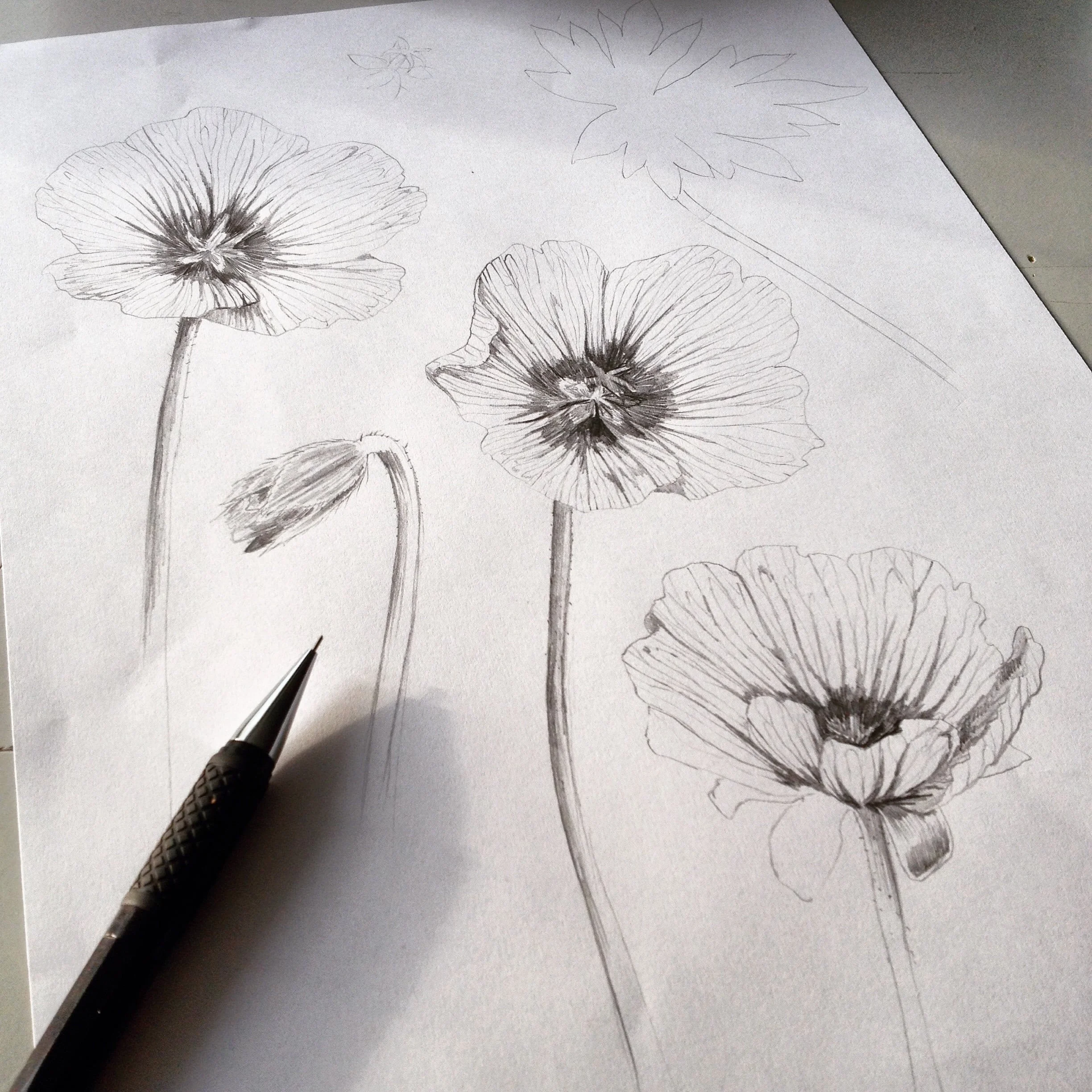 fig. 5. Sketching process