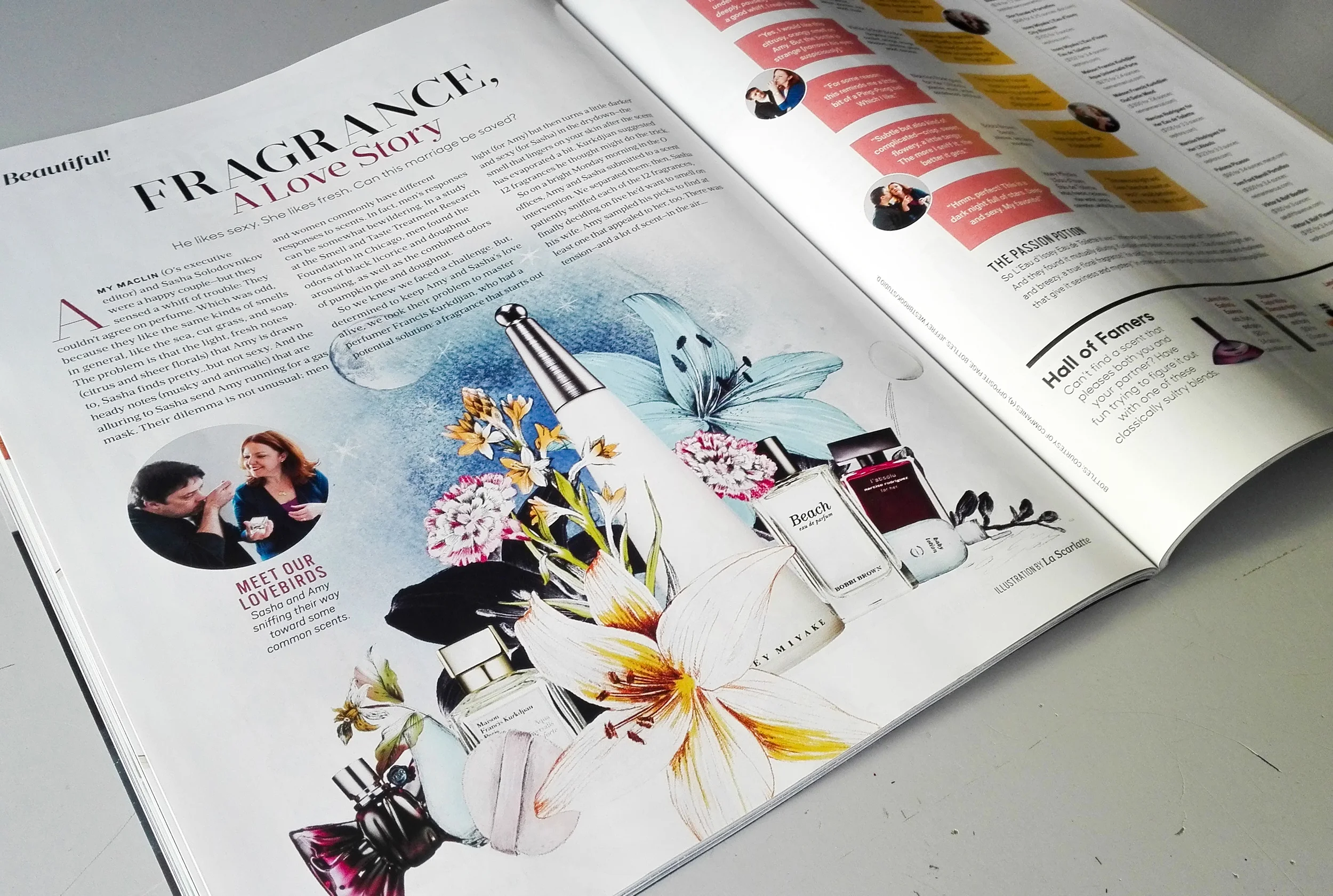 fig. 2. Magazine in print