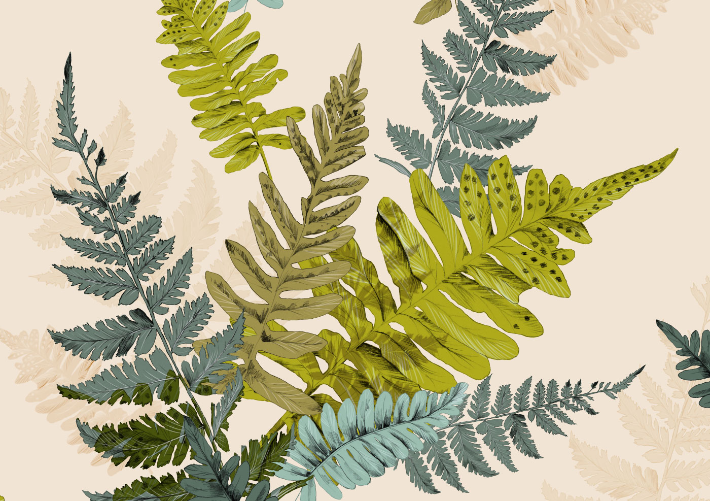 Fig. 2. Details of fern leaf drawings